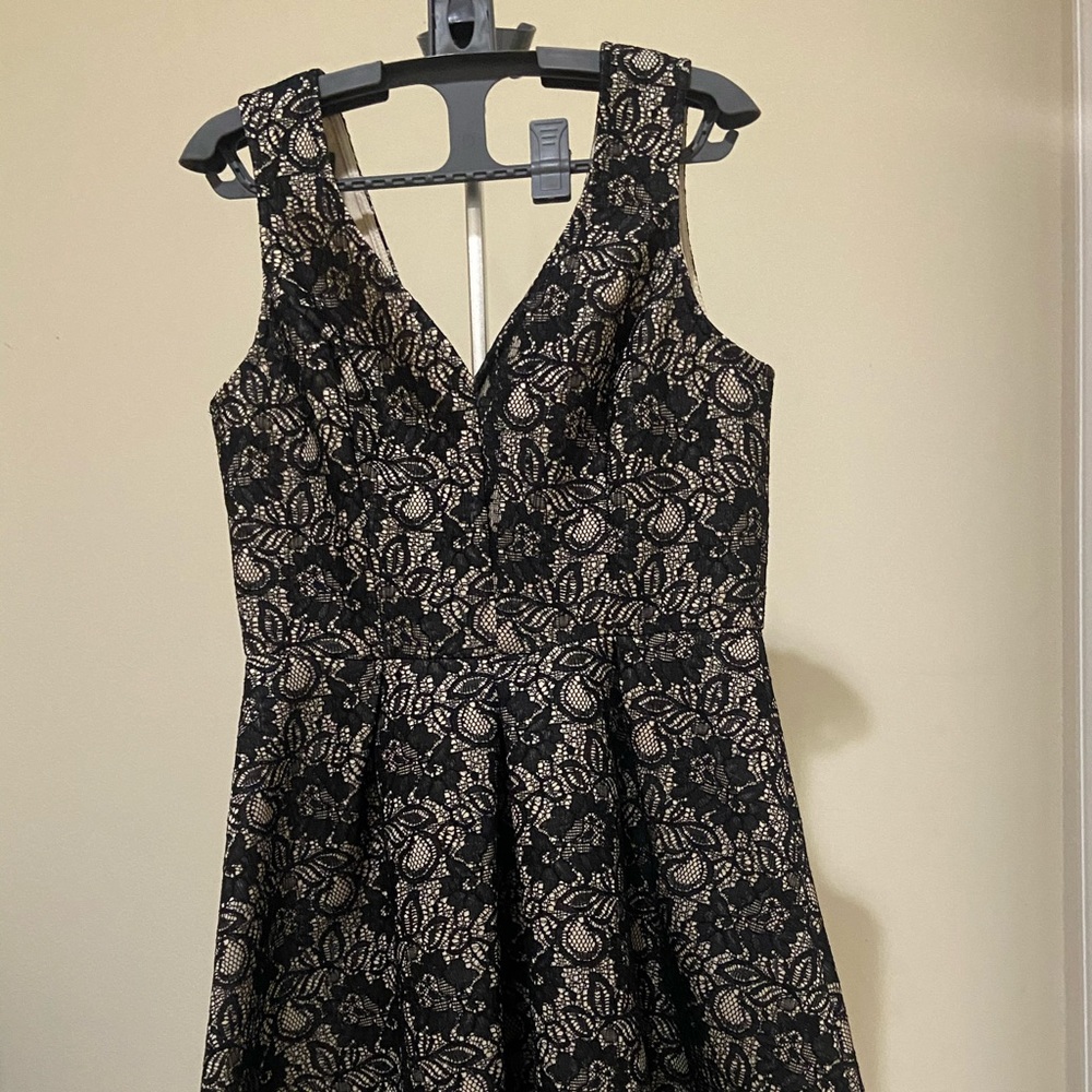 Blue Rain Fit and Flare Lace Dress